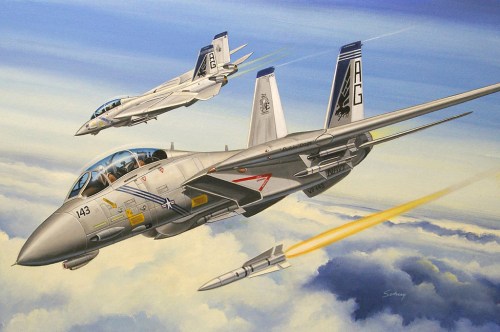 Grumman F-14B Tomcat by Hobby Boss